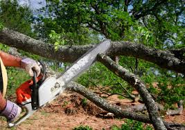 Best Storm Damage Tree Cleanup  in Huntersville, NC